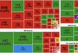 VN-Index tăng hơn 20 điểm nhưng thị trường vẫn xanh vỏ đỏ lòng
