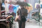Tin không khí lạnh mới nhất và thời tiết Hà Nội 10 ngày tới