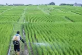 Phát minh của Trung Quốc xoay chuyển ngành phân bón: Ép chất thải độc hại thành nguyên liệu cho nông nghiệp, hiệu suất cao gấp 3 lần bình thường