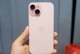 4 chiếc iPhone cũ đáng mua nhất giữa năm 2026