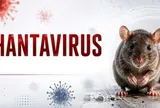 Bộ Y tế thông tin về xét nghiệm virus Hanta