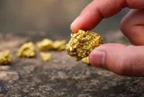 Đang đào quặng bỗng phát hiện mỏ vàng 90 triệu tấn nằm ngay cạnh, có thể làm rung chuyển thị trường kim loại quý