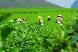 Thái Nguyên đề xuất thu hồi đất để triển khai 32 dự án