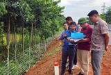 Khẩn trương giải phóng mặt bằng Dự án đường sắt Lào Cai - Hà Nội - Hải Phòng