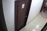 Xôn xao nam thanh niên đá chết chú chó rồi bỏ vào thùng rác chung cư ở Hải Phòng: Người đăng clip lên tiếng