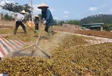 Quảng Ninh: Giữ vững đà tăng trưởng ngành nông nghiệp