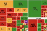 Rung lắc cuối phiên, VN-Index giảm nhẹ sau một ngày giằng co