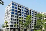 Nhà ở cho thuê: Chuyển từ tư duy sở hữu sang bảo đảm quyền được ở