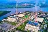 Sau khi Tổng Giám đốc bị bắt, Nhiệt điện Hải Phòng báo lãi hơn 508 tỷ đồng