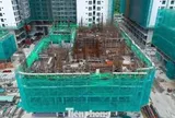 BĐS nhận tiền cọc trước khi đủ pháp lý: Đẩy rủi ro về phía khách hàng?