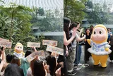 Twinkle Twinkle khởi đầu hành trình tại Đông Nam Á ở Singapore -- và quyết định gắn bó lâu dài