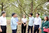 "Cởi trói" để giữ thị trường xuất khẩu sầu riêng
