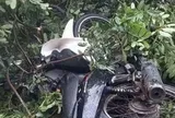 Cây xanh gãy đổ, đè tử vong nam thanh niên đi xe máy ở Đắk Lắk