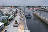 Vùng đất lau sậy 'lột xác' cùng dự án chống ngập 10.000 tỷ đồng