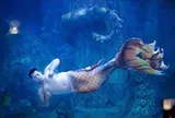 "Nàng tiên cá” đặc biệt nặng đến 110kg, có sở thích lắc lư chiếc bụng mỡ