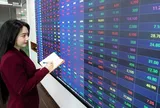 VN-Index kiểm định vùng hỗ trợ, nhà đầu tư nên kiên nhẫn