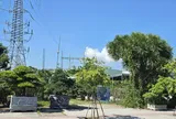 Đà Nẵng cho thuê hàng trăm tài sản công: Nhà nước tránh lãng phí, người dân thêm cơ hội kinh doanh