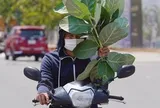 TP.HCM có thể tăng 110 ngày nắng nóng, quy hoạch đô thị cần tính trước rủi ro