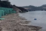Bãi biển đẹp như Maldives ở vịnh Cam Ranh bị rác bủa vây