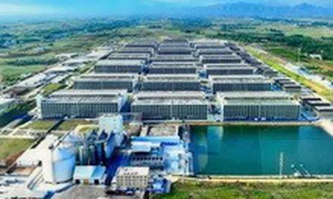 Đề xuất xây hai dự án 'chung cư 6 tầng' nuôi heo đầu tiên tại Việt Nam