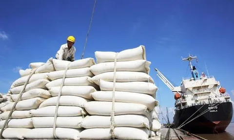 Philippines tạm ngừng nhập khẩu gạo: Bộ Công Thương khuyến nghị doanh nghiệp chủ động thích ứng