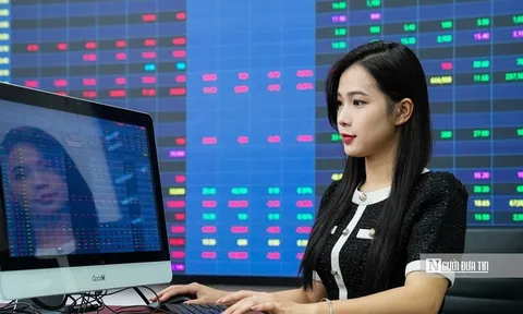 Thị trường giằng co, dòng tiền bắt đáy hé mở cơ hội ở cổ phiếu dẫn dắt