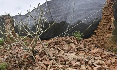 Giám đốc Trung tâm Bảo tồn Di tích Cố đô Huế tiết lộ hiện tượng trước khi tường Hoàng thành sập