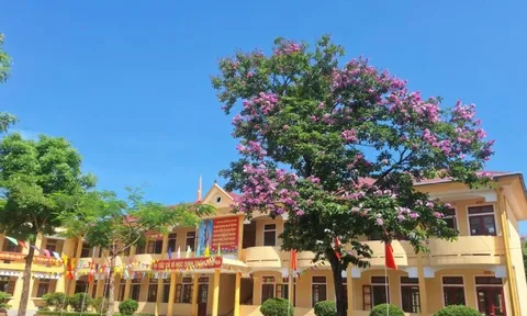 Nam sinh lớp 11 đánh học sinh lớp 9 tử vong