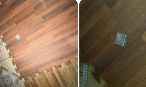 Bảo vệ trường tiểu học ở Hải Phòng tổ chức ‘bay lắc’ ngay nơi làm việc