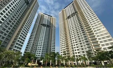 Thêm loạt đất nền và chung cư được cấp sổ hồng