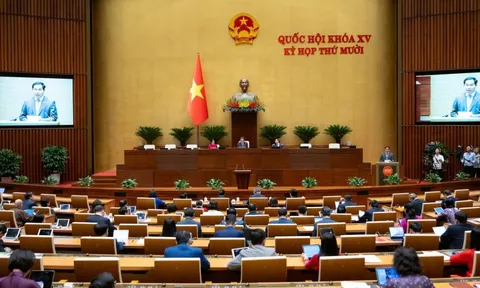 Quốc hội phê chuẩn một số Phó Chủ tịch, Ủy viên Hội đồng Bầu cử quốc gia