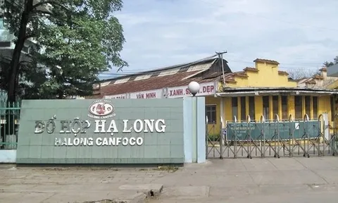 Doanh thu Đồ hộp Hạ Long có thể phục hồi từ "thực phẩm thú cưng"?