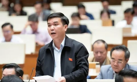 ĐBQH đề nghị cấm tuyệt đối hành vi ép mua bảo hiểm khi vay vốn ngân hàng