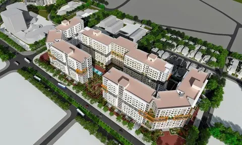 Có gì tại dự án nhà ở Hà Nội khiến đoàn người trắng đêm chờ nộp hồ sơ, có người ngất xỉu trong cơn hỗn loạn?