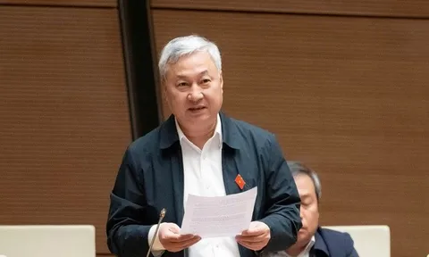 Đề nghị xem xét lại mức khởi điểm chịu thuế 200 triệu đồng/năm với hộ kinh doanh