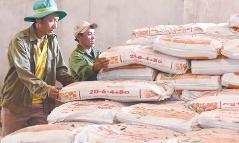 Ngành phân bón lãi kỷ lục