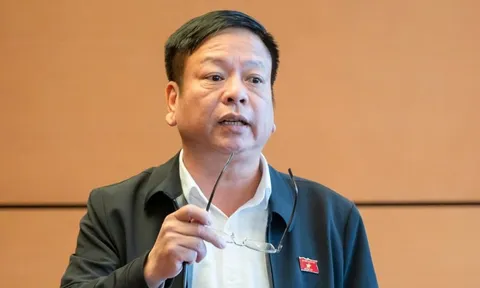 Dự luật đưa nội dung cơ bản AI vào giáo dục phổ thông, đại biểu nói 'cần cân nhắc kỹ'