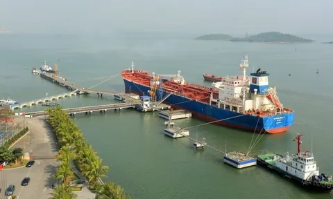 Tiết giảm giá vốn, cổ phiếu PTS Hải Phòng "hồi sinh"