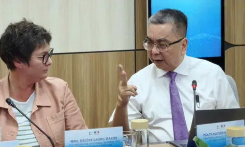 AI dẫn luật hay nhưng dễ… đổi chiều khi bị hỏi xoáy