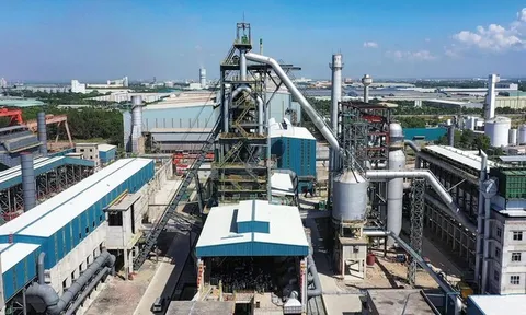 Những lần xoay xở của Thép Pomina trước khi gặp "phao cứu sinh" Vingroup