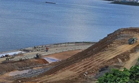 Nhiều tập đoàn cảng biển hàng đầu thế giới tham gia dự thầu dự án Cảng Liên Chiểu