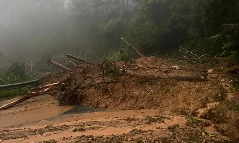 Mưa lớn kéo dài, đèo D'Ran, Mimosa, Prenn - đường lên Đà Lạt tiếp tục sạt lở