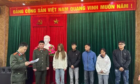 Khởi tố Lương Quỳnh Anh