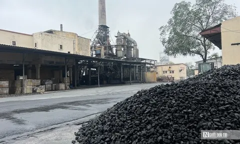 Phân lân Văn Điển đứng trước nguy cơ hủy niêm yết