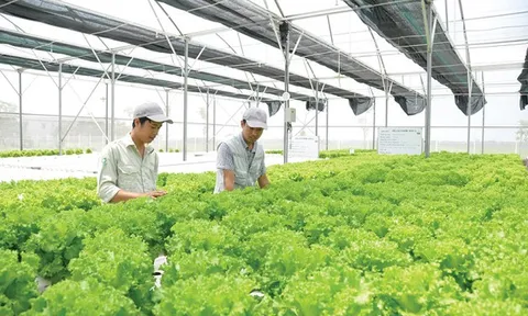 Thực phẩm Hồng Hà chi hàng chục tỷ đồng thâu tóm 2 công ty