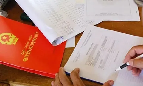 Thanh tra TPHCM vào cuộc vụ hô biến đất công thành 'đất ông'