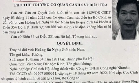 Bộ Công an truy nã đặc biệt Hoàng Bá Nghị, Chủ tịch Công ty NhoNho