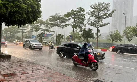 Tin gió mùa Đông Bắc mới nhất: Từ đêm nay, miền Bắc mưa to đến rất to