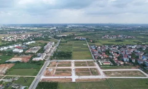 Hà Nội ồ ạt đấu giá đất dịp cuối năm