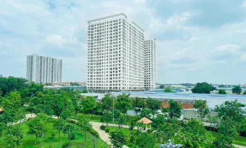 Chung cư Benhill thử nghiệm mô hình “sống thử” cho khách mua ở thực